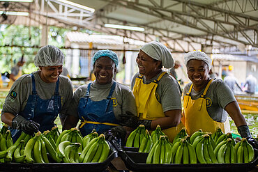 Arbeiter:innen auf einer Bananenplantage in Kolumbien. Foto: © CLAC