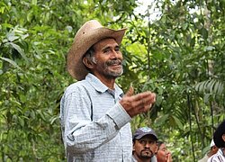 Plaque de chocolat noir bio Naturaplan 100% Honduras (80g) acheter à prix  réduit